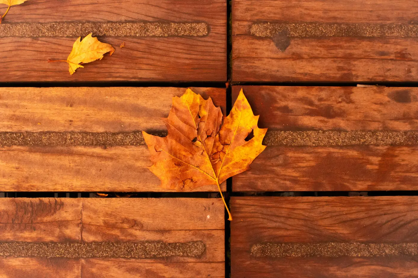 Photographie d'une feuille de platane sur du bois